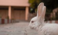 2024后九运最好生肖 道路通畅的属相