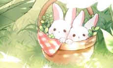 1999年属兔女2022年运势及运程详解