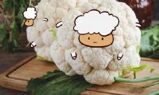 属羊2021.12.17运势 沉稳低调