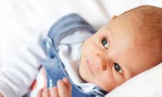 属羊鬼节出生男孩命好吗 七月的羊运势怎么样