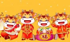 5月份牛的命运怎么样 生肖牛哪年运势好