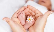 属鼠的十月份出生怎么样 性格好不好