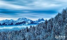 2023年易丧命生肖 2023年有大灾难的生肖