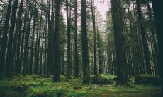 五行属金都有什么职业 属金怎么提升运势