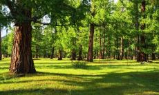 五行缺土的人适合去哪里发展 事业注意啥