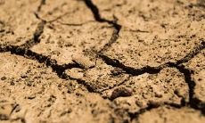 五行缺木的会导致身体问题吗 还有啥影响