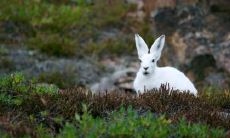 99年兔男24岁在2022虎年每月运势