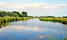 五行缺水就是水命吗 五行缺水怎么改运