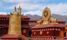 1976年属龙男2022年运势及运程详解