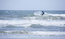 健康养生行业五行属性 行业五行怎么区分