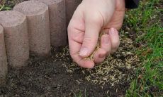 会计专业五行属什么 五行属金的职业