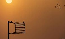 2023年必死的生肖 2023年易丧命生肖