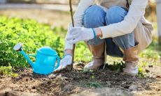 五行缺木的人适合在哪个城市 要注意什么