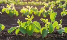 医院的五行属性是什么 属土行业的特征