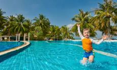 互联网运营五行属什么 五行属木的行业特征