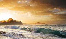 宣传工作五行属什么 属水的生意有哪些