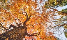 硅胶五行属什么 五行属土的行业有哪些工作