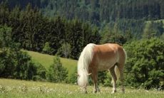 1978年属马男2022年运势及运程详解