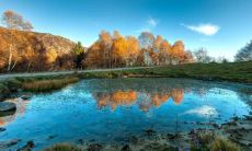 股票为什么属火 五行属什么的人适合炒股