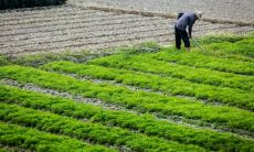 电竞五行属什么 电器行业属火还是属金