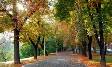 理疗行业五行属什么 如何根据五行选择职业