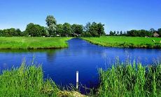 塑料行业五行属性是什么 属水的职业有哪些