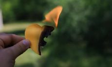 教育五行属木还是火 五行属火的职业有哪些