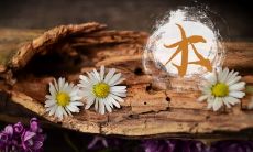 洗煤厂五行属于什么 职业的五行怎么区分