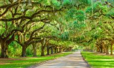 互联网广告销售五行属什么 火命忌讳做什么