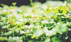 五行缺水就是没财运吗 缺水女人命理特征