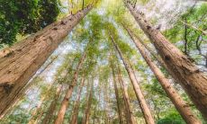 超市的五行属性到底是什么 土命忌讳什么