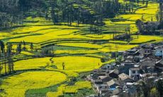 信息科技五行属什么 缺木做什么生意最旺