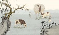 属羊2021.9.6运势 财运平稳