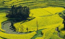 煤行业五行属什么 女性做哪些行业五行属金