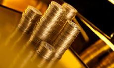 表演五行属于什么 木命人五行缺什么