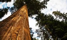 行业五行属性的分类怎么分 缺水适合的行业