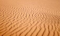 拉丁舞在五行中属什么 属木的最佳行业