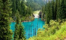 五行缺金就是喜金吗 命里缺金的人最忌讳