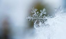 公检法五行属什么 五行属金的人什么特质