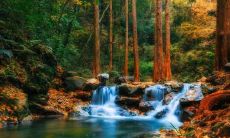 法院检察院五行属什么 五行属金还有什么