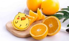 1981年属鸡男2022年运势及运程详解