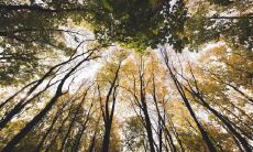 网络科技五行属什么 土命人做什么会发财