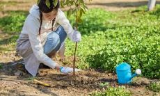 保姆五行属什么 五行木旺做什么生意好