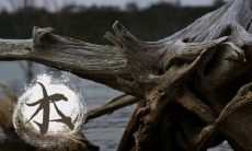 印刷业五行属性是什么 火命人适合做什么