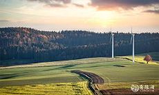 为什么说腊月羊命不好 腊月羊男的命运和婚姻