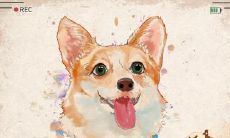 1994年属狗男2022年运势及运程详解