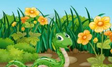 属蛇2023.3.21运势 财运极好