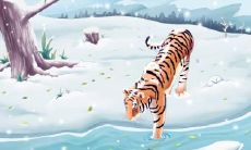 属羊穿老虎图案衣服 什么忍不能穿老虎