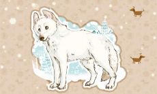 属狗女人戴什么宝石好 禁忌佩戴什么