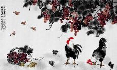 属鸡2021.10.19运势 做事不顺